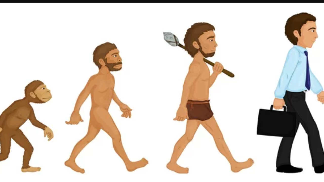 Know the history and facts about Homo Sapiens - OwnTV