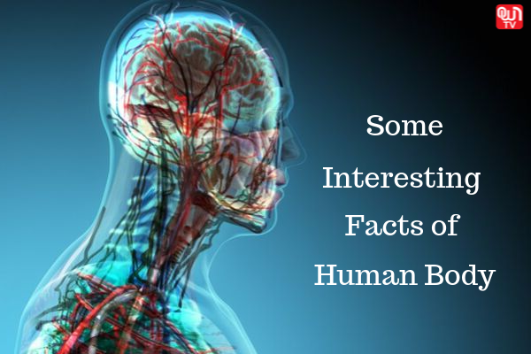 Interesting Facts on the Human Body