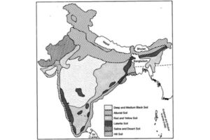 soil in india